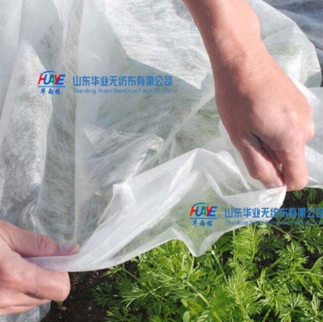 農用無(wú)紡布